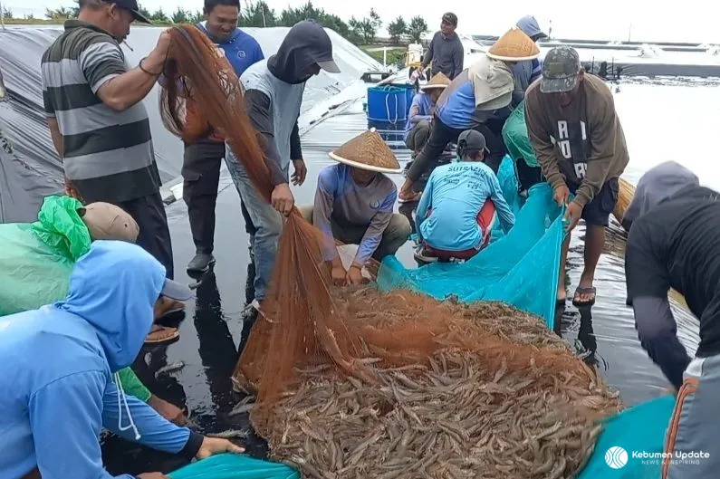 BUBK Kebumen Capai Panen Parsial 46 Ton