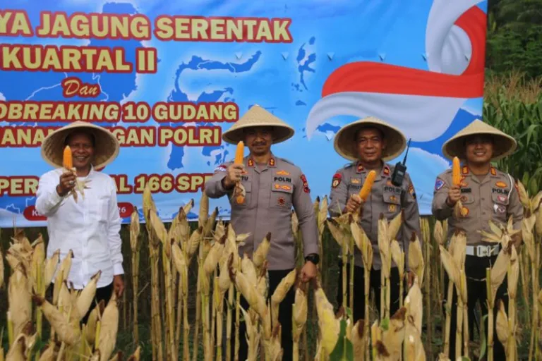 Polres Kebumen Sukses Gelar Panen Raya Jagung Kuartal II