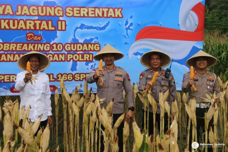 Polres Kebumen Sukses Gelar Panen Raya Jagung Kuartal II