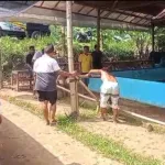 Resahkan Warga, Tempat yang Diduga Arena Sabung Ayam di Kebumen Dibongkar Paksa