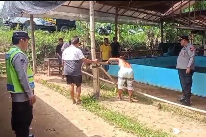 Resahkan Warga, Tempat yang Diduga Arena Sabung Ayam di Kebumen Dibongkar Paksa