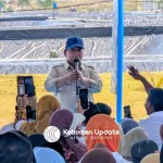 Presiden Prabowo Panen Udang di BUBK Kebumen