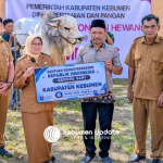 Bupati Kebumen Salurkan 8 Ekor Sapi Kurban dan 1 dari Presiden