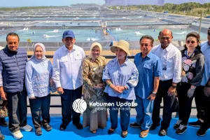 Kunjungi BUBK Kebumen, Titiek Soeharto Puji Kualitas Udangnya