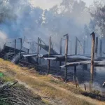 Pemanas Gasolek Bocor, Kandang Ayam di Padureso Ludes Dilalap Api