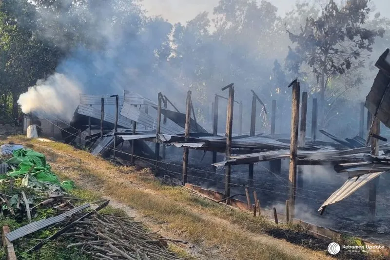 Pemanas Gasolek Bocor, Kandang Ayam di Padureso Ludes Dilalap Api
