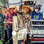 Panen Padi Berhasil, Petani Bumirejo Puring Kini Beralih Tanam Kacang Hijau Varietas Vima-1