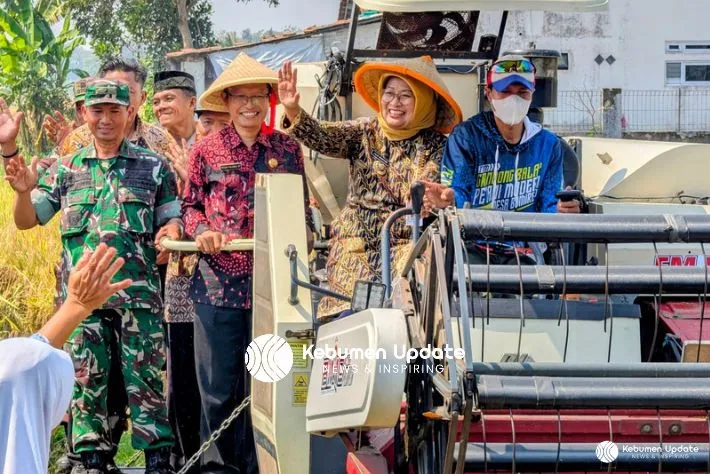 Panen Padi Berhasil, Petani Bumirejo Puring Kini Beralih Tanam Kacang Hijau Varietas Vima-1