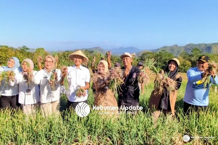 Panen Raya Bawang Merah di Desa Tlogowulung Alian: Ubah Lahan Pegunungan jadi Lebih Produktif