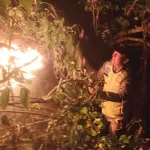 Berjibaku Padamkan Api, Petugas dan Warga Berhasil Jinakkan Kebakaran Hutan di Sadang Kebumen