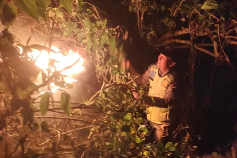 Berjibaku Padamkan Api, Petugas dan Warga Berhasil Jinakkan Kebakaran Hutan di Sadang Kebumen