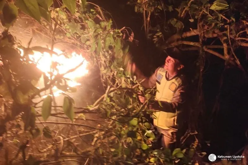 Berjibaku Padamkan Api, Petugas dan Warga Berhasil Jinakkan Kebakaran Hutan di Sadang Kebumen