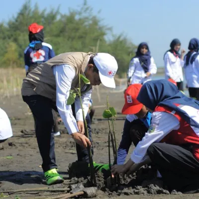 Mitigasi Bencana Pesisir, Relawan PMI Kebumen Tanam 600 Bibit Mangrove di Pantai Kaliratu