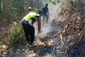 Lahan 1,3 Hektare di Grenggeng Kebumen Terbakar, Diduga Akibat Bakar Sampah Ditinggal Pergi