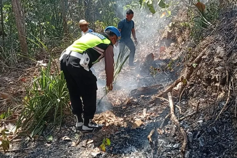 Lahan 1,3 Hektare di Grenggeng Kebumen Terbakar, Diduga Akibat Bakar Sampah Ditinggal Pergi