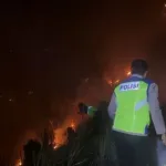 Kebakaran Lahan di Karanggayam, 1,5 Hektare Pohon Pinus Terbakar