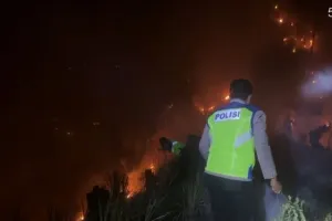 Kebakaran Lahan di Karanggayam, 1,5 Hektare Pohon Pinus Terbakar