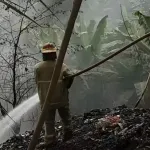 Kebakaran Sampah Liar Dekat Makam Singapatra Kebumen Berhasil Dipadamkan