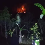 Lahan 0,4 Hektare di Karanggayam Terbakar