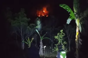 Lahan 0,4 Hektare di Karanggayam Terbakar