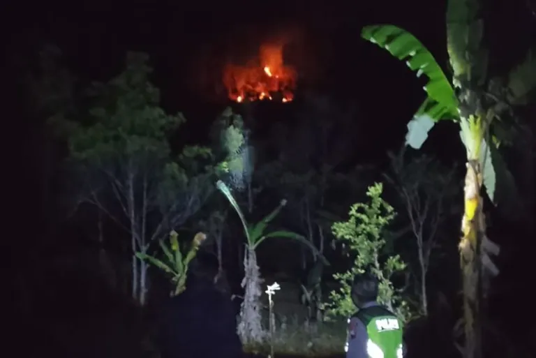 Lahan 0,4 Hektare di Karanggayam Terbakar