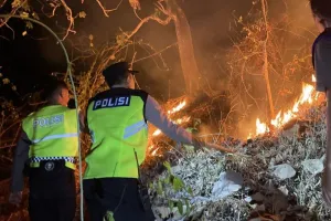 Lahan 1,4 Hektare di Karanggayam Kebumen Terbakar