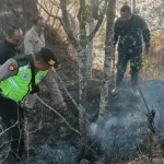 Lahan Seluas 2.000 Meter Persegi di Sruweng Kebumen Terbakar