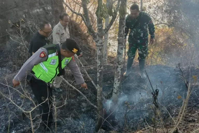 Lahan Seluas 2.000 Meter Persegi di Sruweng Kebumen Terbakar