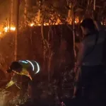 Musim Kemarau Panjang, Dua Titik Lahan dan Hutan di Kebumen Dilalap Si Jago Merah