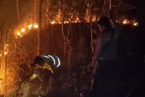 Musim Kemarau Panjang, Dua Titik Lahan dan Hutan di Kebumen Dilalap Si Jago Merah