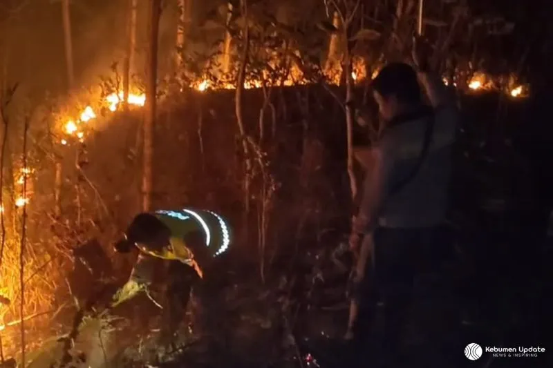 Musim Kemarau Panjang, Dua Titik Lahan dan Hutan di Kebumen Dilalap Si Jago Merah