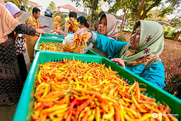 Harga Cabai