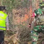 Dua Hektare Lahan Perhutani di Buayan Terbakar
