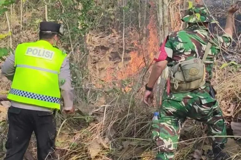 Dua Hektare Lahan Perhutani di Buayan Terbakar