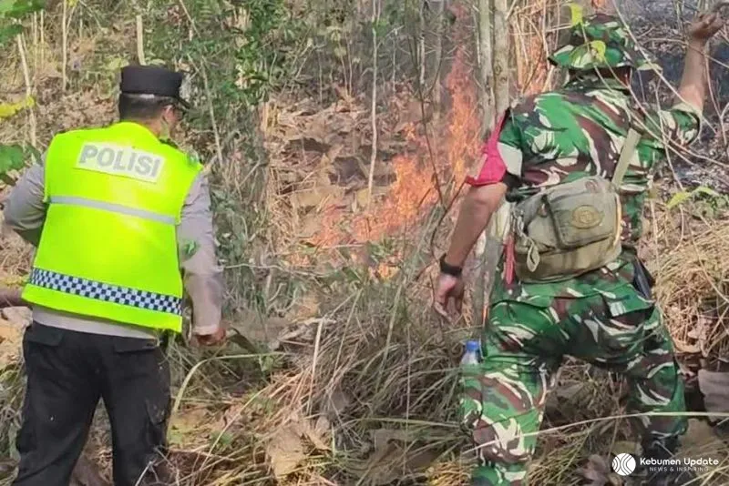 Dua Hektare Lahan Perhutani di Buayan Terbakar