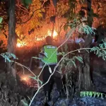 Lahan Perhutani Seluas 5 Hektare di Buayan Dilalap Si Jago Merah