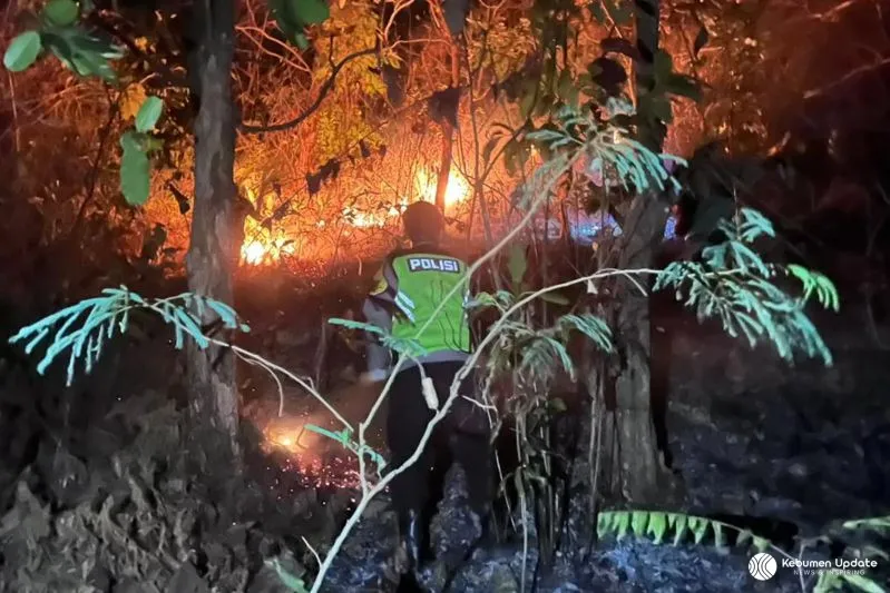 Lahan Perhutani Seluas 5 Hektare di Buayan Dilalap Si Jago Merah