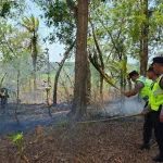 Lagi, Kebakaran Lahan Seluas 5,7 Hektare Hanguskan Wilayah Buayan dan Karangsambung