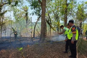 Lagi, Kebakaran Lahan Seluas 5,7 Hektare Hanguskan Wilayah Buayan dan Karangsambung
