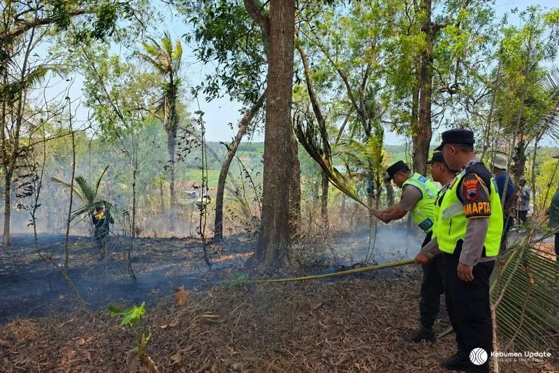 Lagi, Kebakaran Lahan Seluas 5,7 Hektare Hanguskan Wilayah Buayan dan Karangsambung