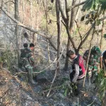 Api Kembali Berkobar di Lahan Perbukitan Kebumen, Petugas Gabungan Terjang Medan Sulit