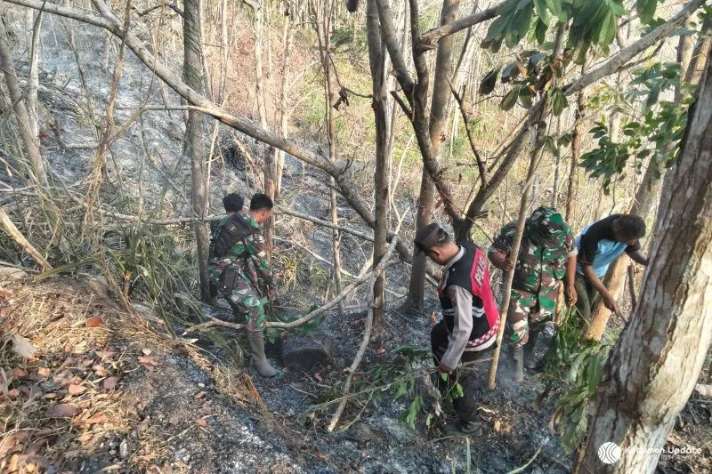Api Kembali Berkobar di Lahan Perbukitan Kebumen, Petugas Gabungan Terjang Medan Sulit
